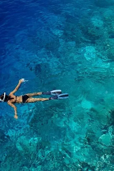 7852c9ec69054c0b8a91769c417ffb2c-sz_64720 7852c9ec69054c0b8a91769c417ffb2c-sz_64720