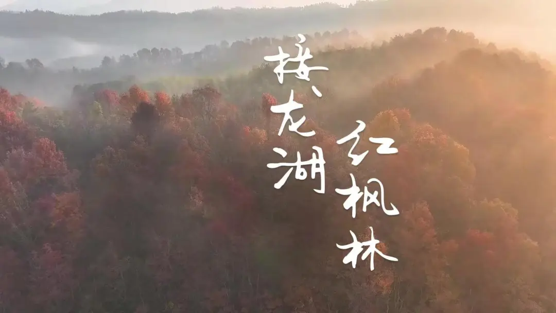 7889510edeee6da0e4077804ad4eccc7-sz_134453 7889510edeee6da0e4077804ad4eccc7-sz_134453