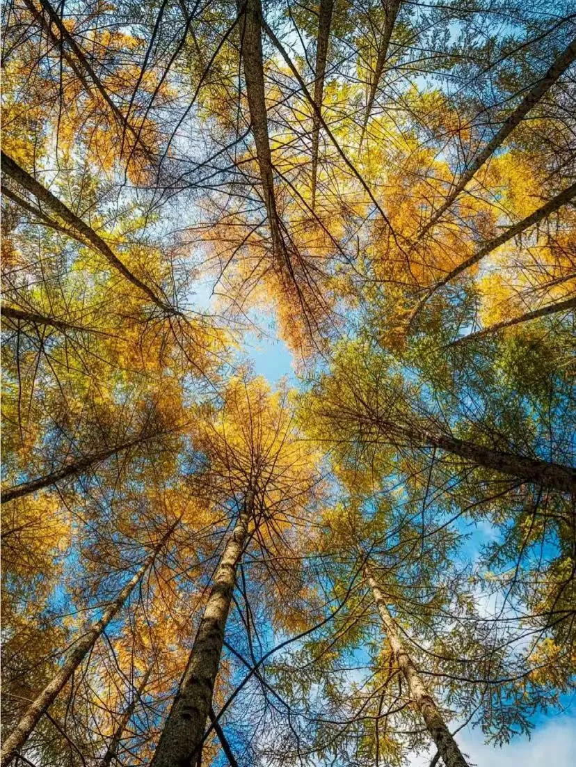 78929164f3da673b53709109acc7a644-sz_3144525