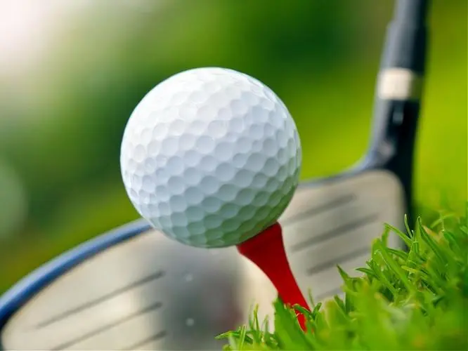 78d9a68f4bad0e01ce413854c1525d61-sz_27894-2