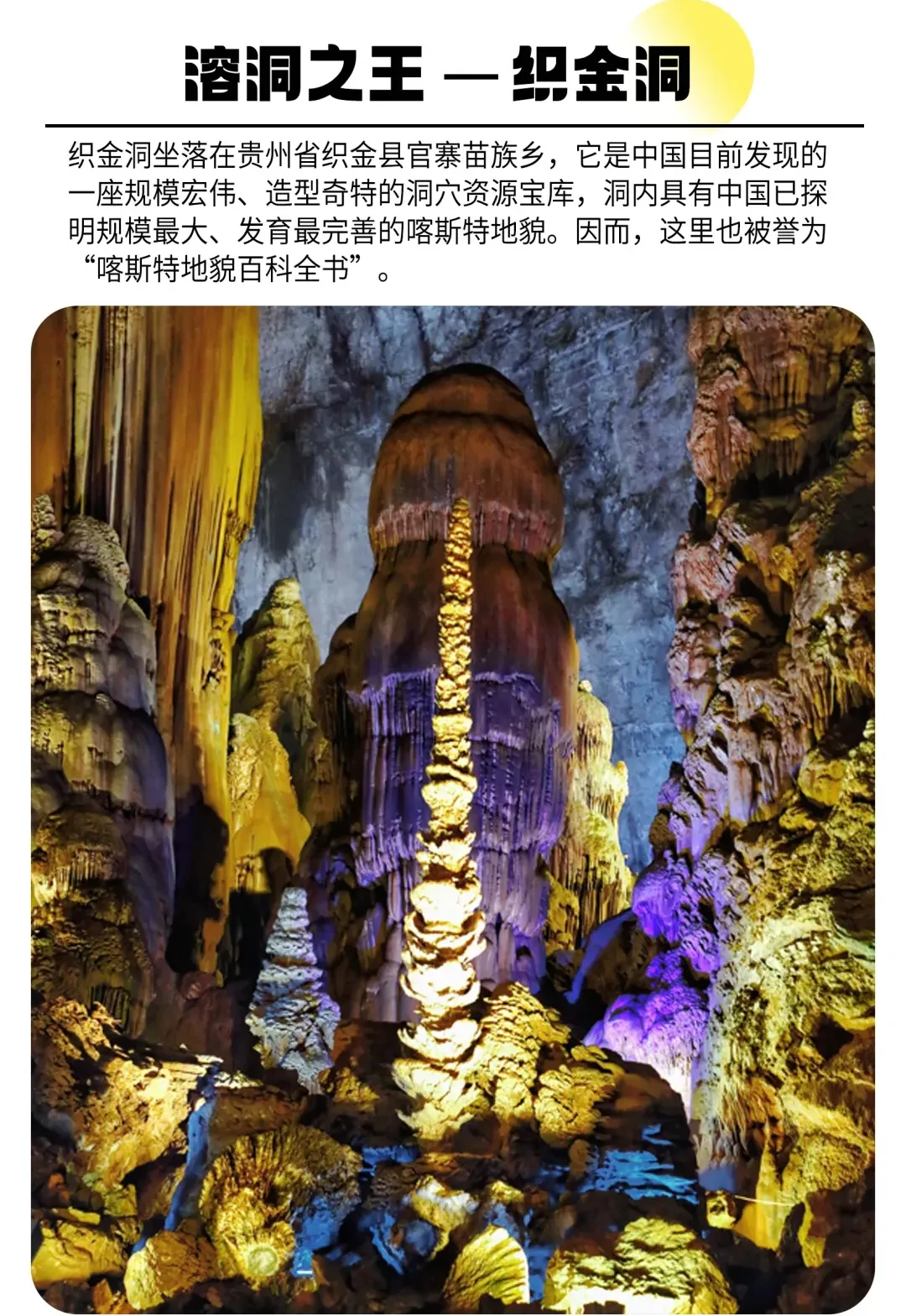 7974b1633bed1d1a8a3d11aead05ca24-sz_5557314