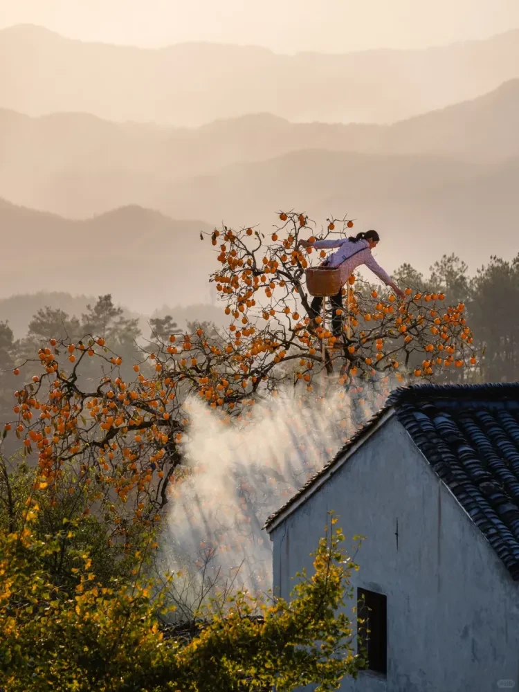 79a3abf7c0620cfc377684ac6d81af33-sz_2298320 79a3abf7c0620cfc377684ac6d81af33-sz_2298320