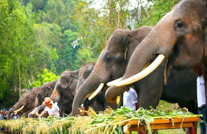 7a0454abe5db3c6e251ffa6b11f76a72-sz_606294-2 7a0454abe5db3c6e251ffa6b11f76a72-sz_606294-2