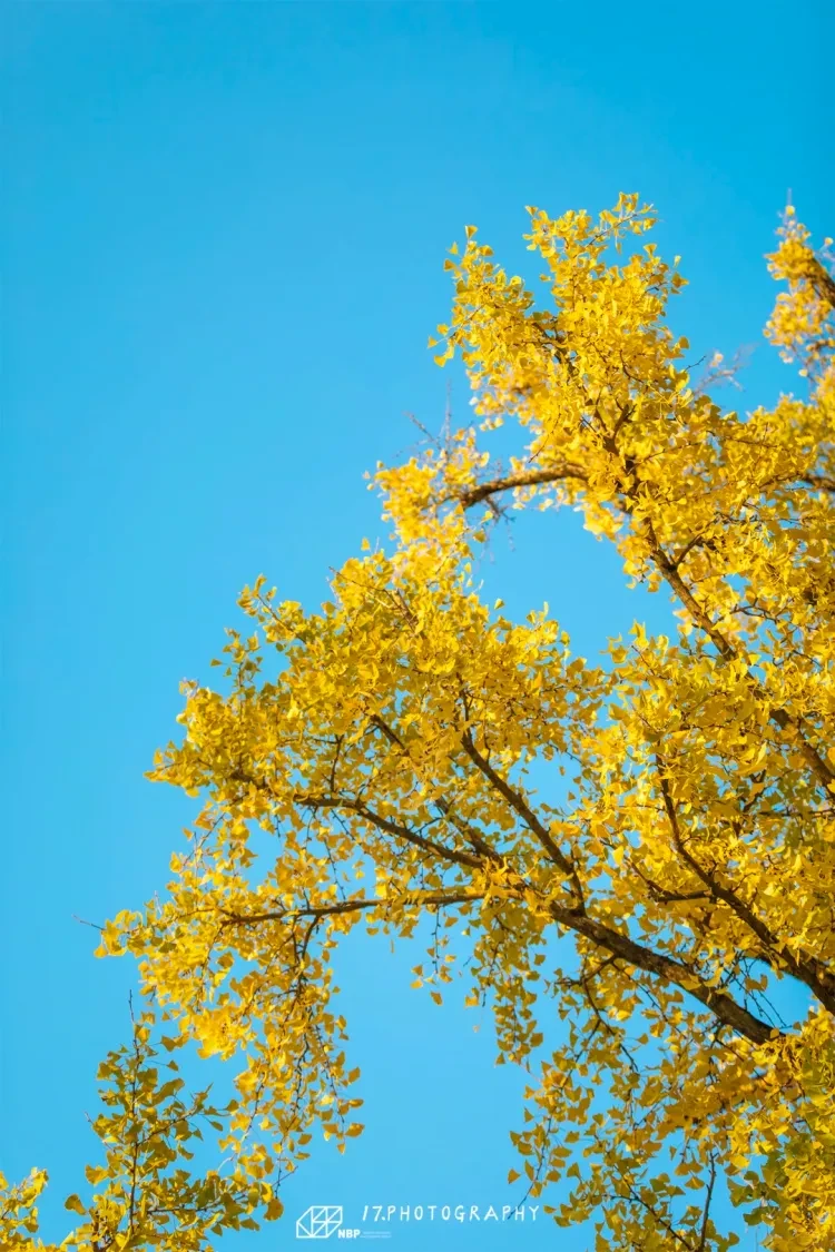 7a5a961c05f0080919d8045202124887-sz_2485111 7a5a961c05f0080919d8045202124887-sz_2485111