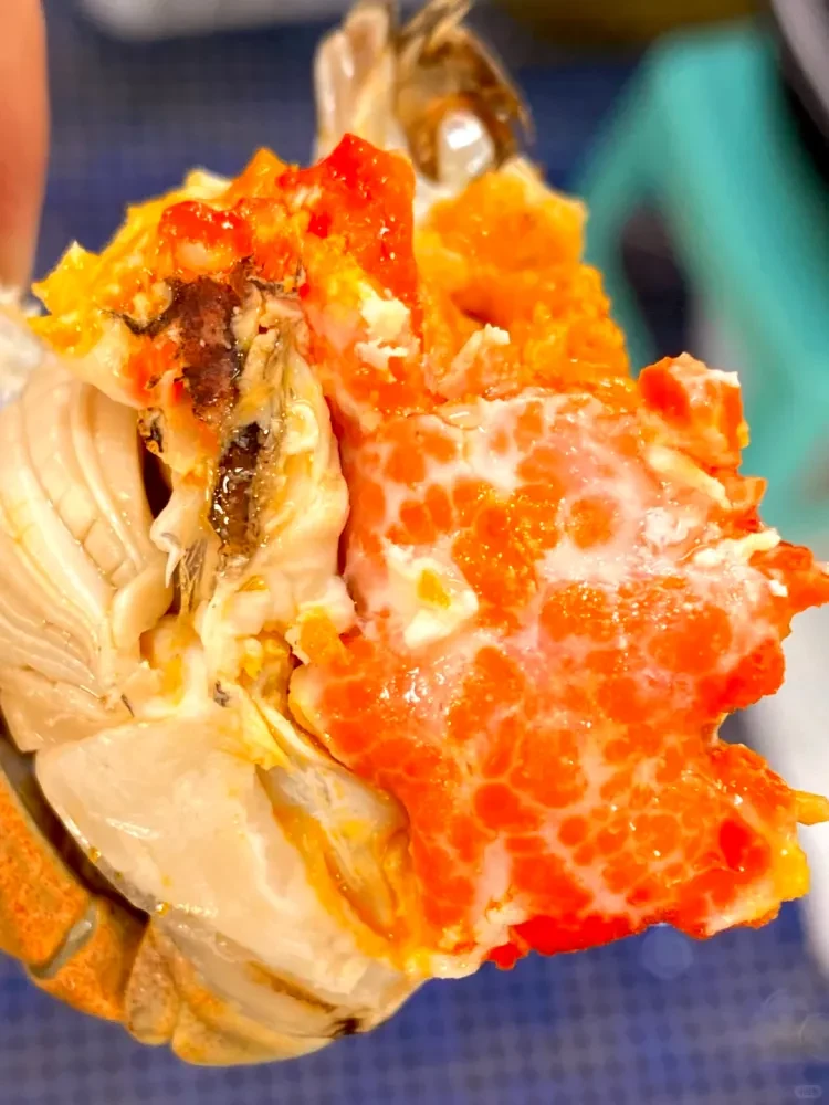 7b0dd7b8f533ad811789f8f89882f4f2-sz_2646566 7b0dd7b8f533ad811789f8f89882f4f2-sz_2646566