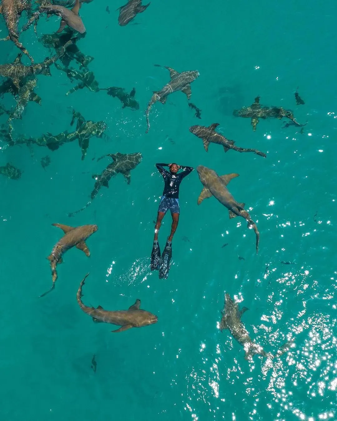 7b677531ca92ff8a525869c0dc2cbe40-sz_177043 7b677531ca92ff8a525869c0dc2cbe40-sz_177043