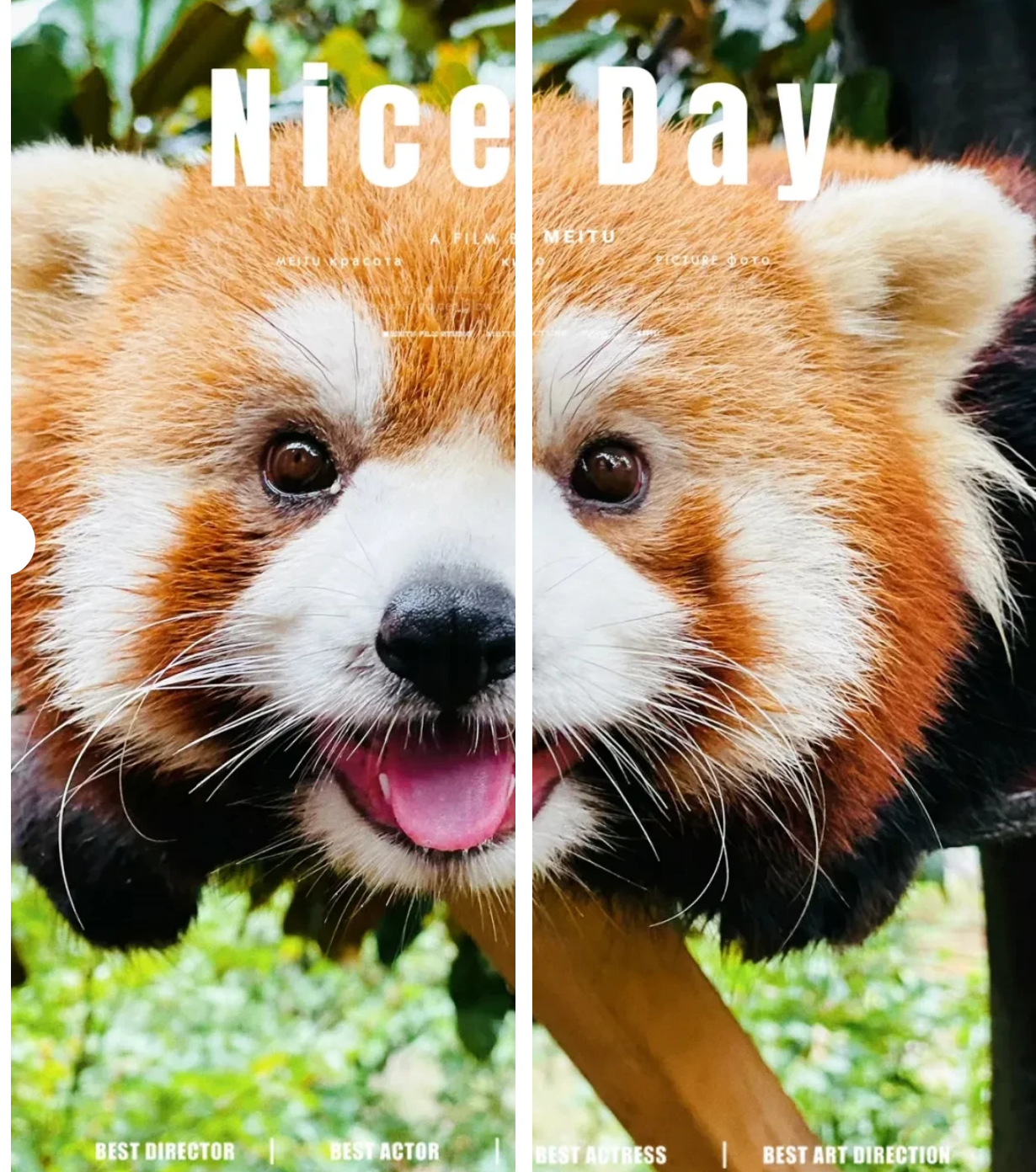 7b6d91a0a5816ffc07e22741d2656960 7b6d91a0a5816ffc07e22741d2656960