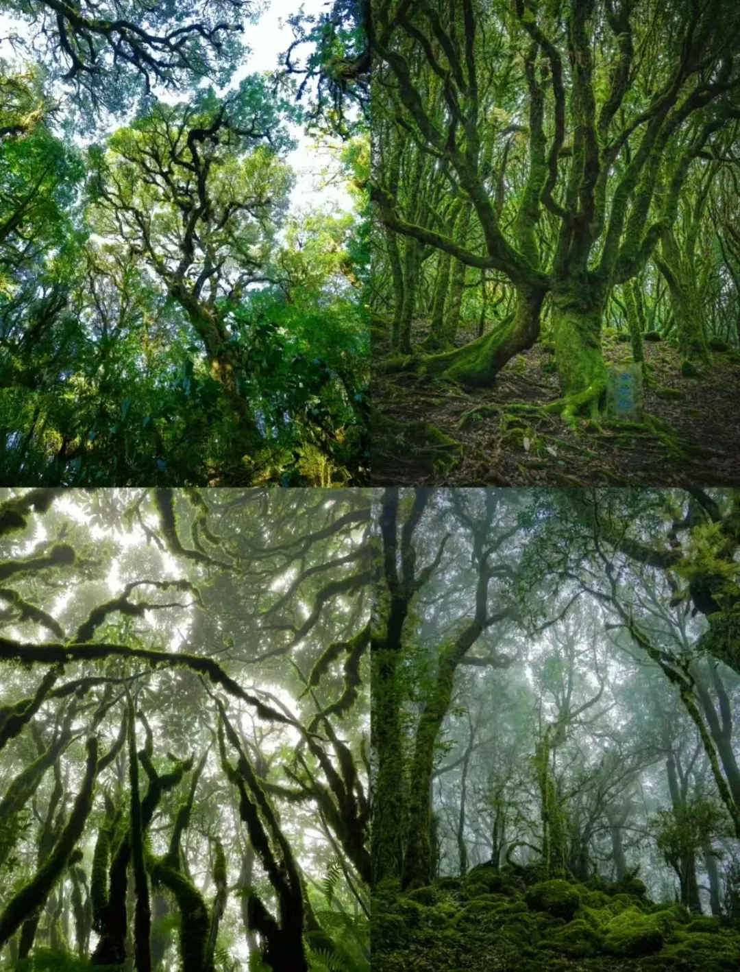 7be352328e3e2f582fa90e1576fced91-sz_641827