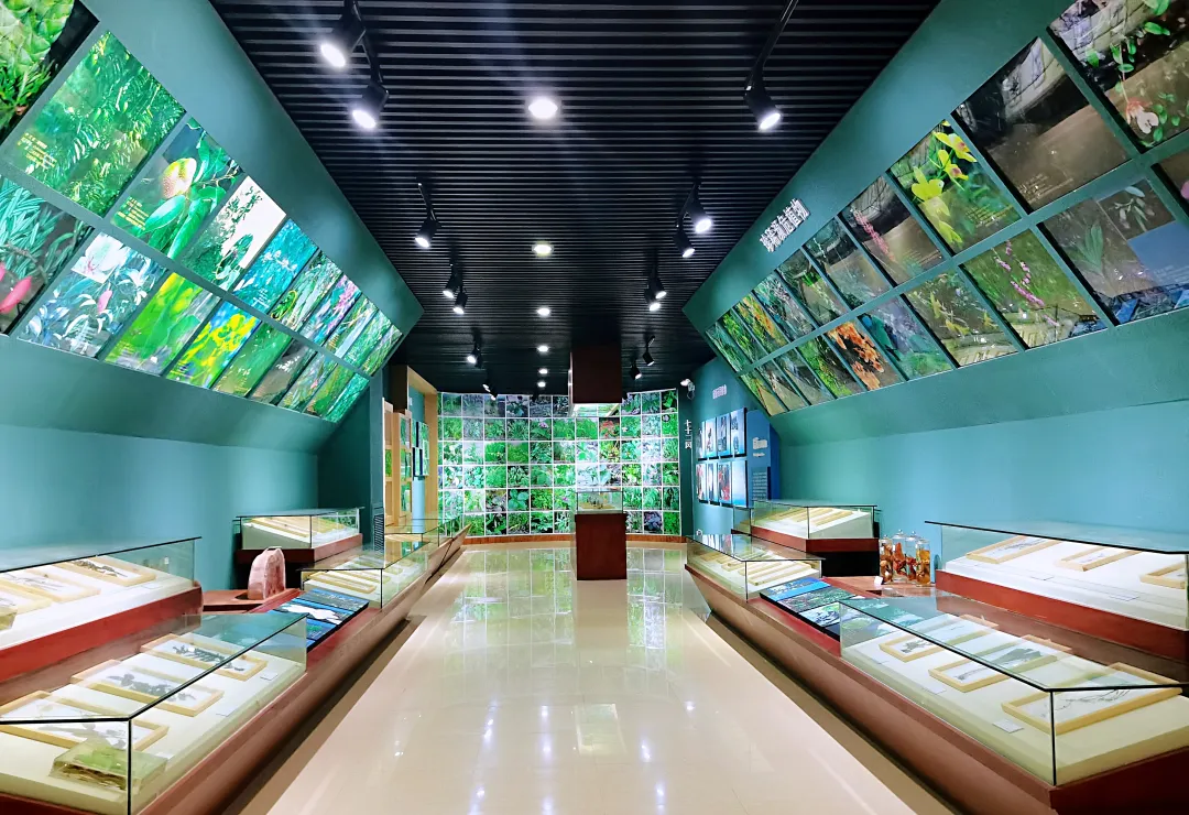 7becade9ff958b7623ed4075ef16d91a-sz_5007461 7becade9ff958b7623ed4075ef16d91a-sz_5007461