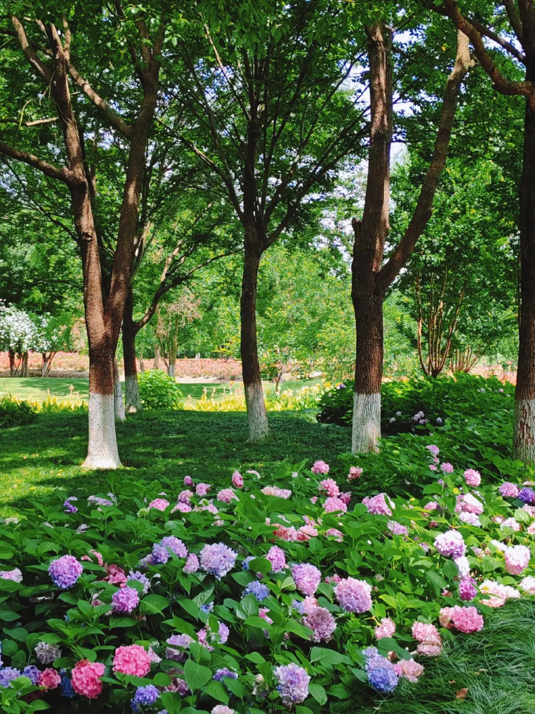 7c2af661f0f7a7f353bcff683a7d41a6-sz_1048178 7c2af661f0f7a7f353bcff683a7d41a6-sz_1048178