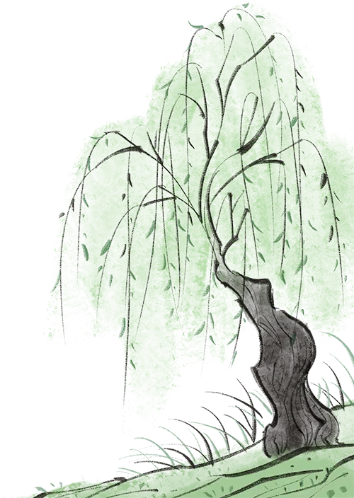 7c664e0a4b707f76a41787d2548bd888_sz-670154