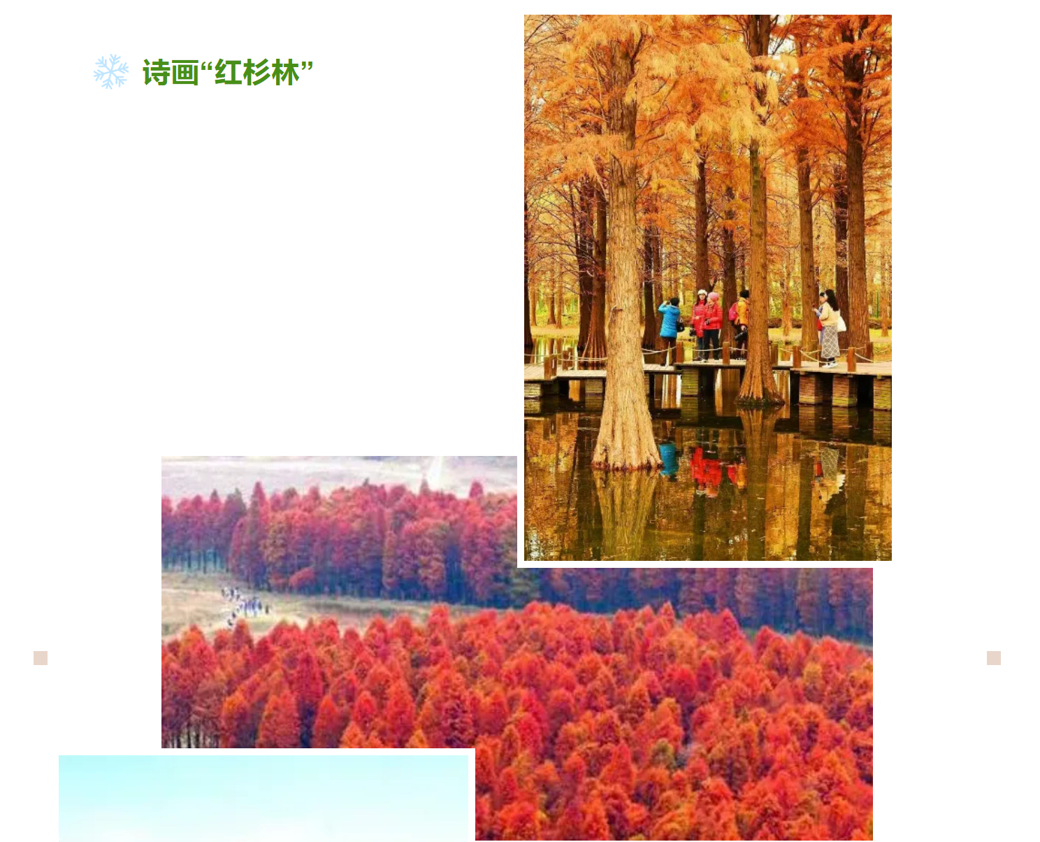 7c9d6506429edf41ac19171b9164dde1 7c9d6506429edf41ac19171b9164dde1