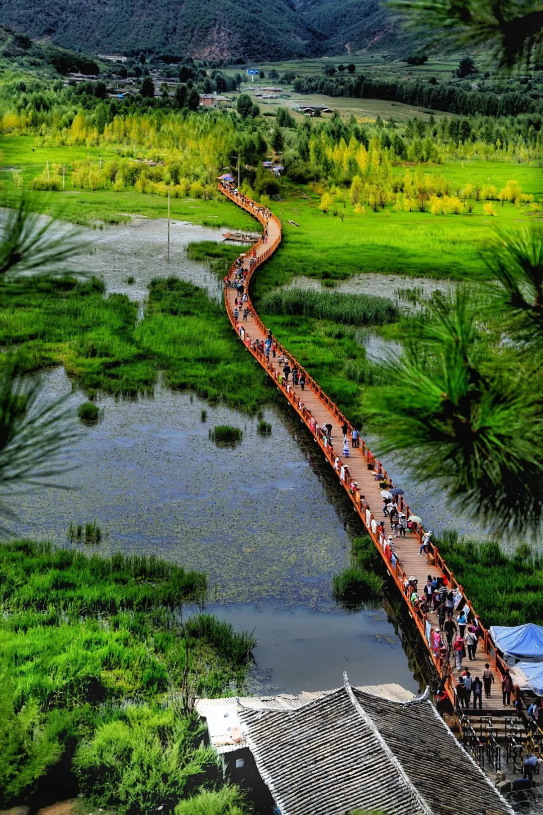 7cbd5e62b280ffa1d7df84dfd53c72a6-sz_605693 7cbd5e62b280ffa1d7df84dfd53c72a6-sz_605693