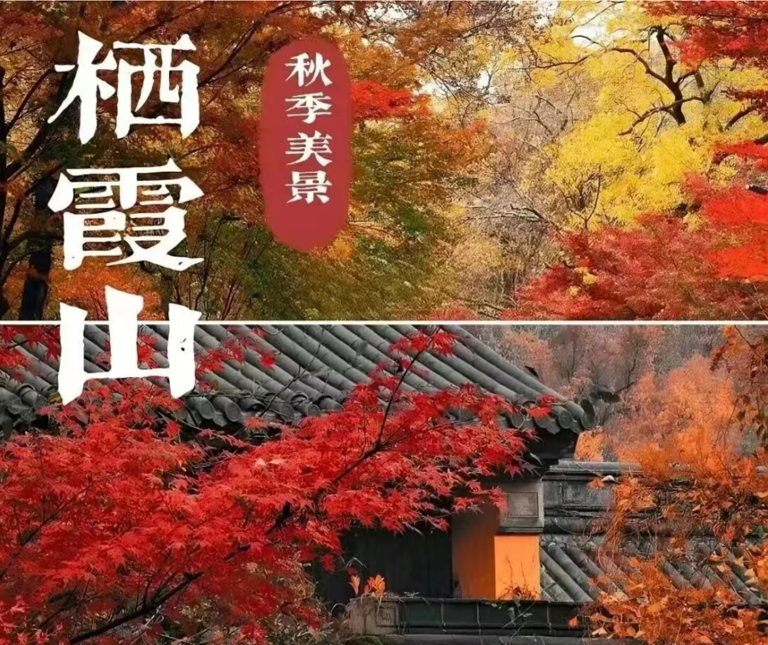 7d05d34cad8b210e9eb40149a486b9b1 7d05d34cad8b210e9eb40149a486b9b1