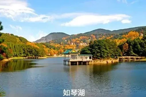 7d42c86ec6219a45a34fbdf7a4b86f97-sz_30618