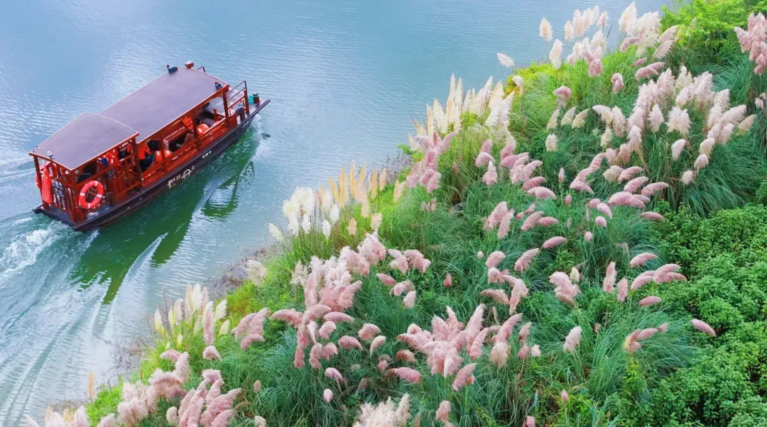 7d630b5b3a1b766e97a292f9d31cd2c2-sz_1638513 7d630b5b3a1b766e97a292f9d31cd2c2-sz_1638513