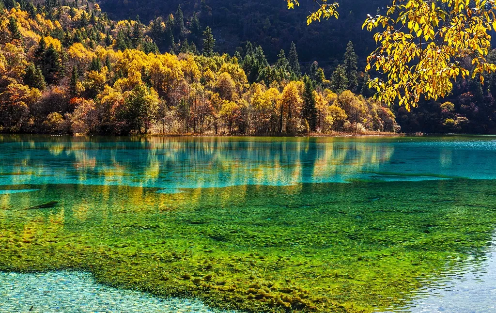 7dd9f13ae06167e71bf8ef97c9c597b0-sz_995875