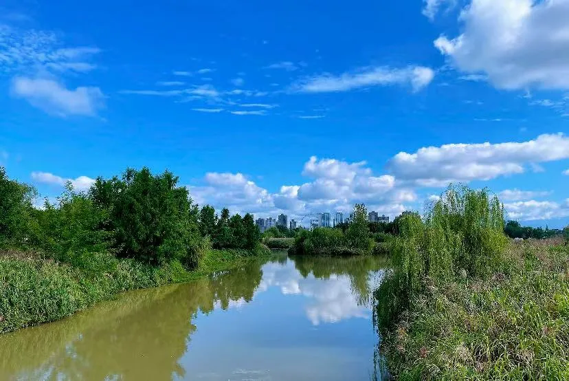 7df7bf23934ae2987c2ef1a8218d123a-sz_999991