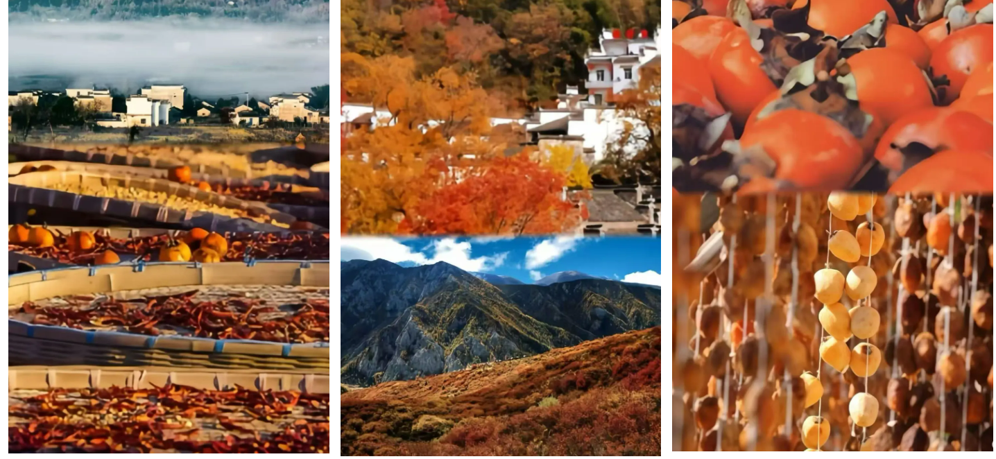 7ec0fb682d8717fe47f01c821f338914 7ec0fb682d8717fe47f01c821f338914