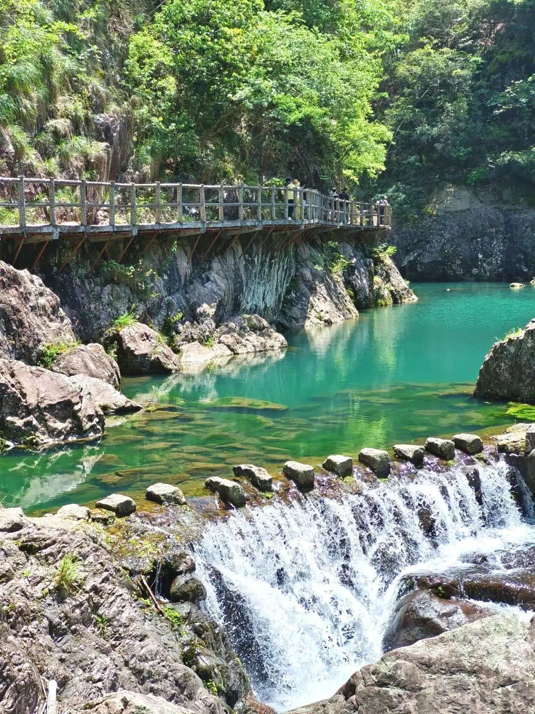 7ecd9ab473649985709256bca586075a-sz_483619