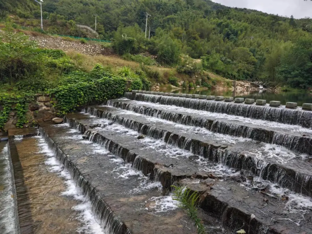 7f2047c3b113e880a9a1815fc7f82c6c-sz_394642 7f2047c3b113e880a9a1815fc7f82c6c-sz_394642