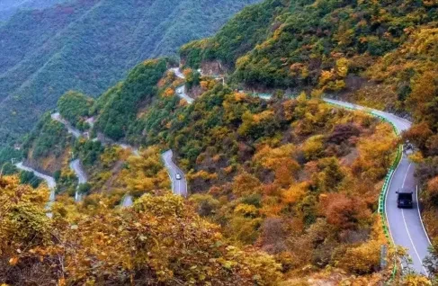 7f5ab97e35f853085870cee761134a7b-sz_438131 7f5ab97e35f853085870cee761134a7b-sz_438131