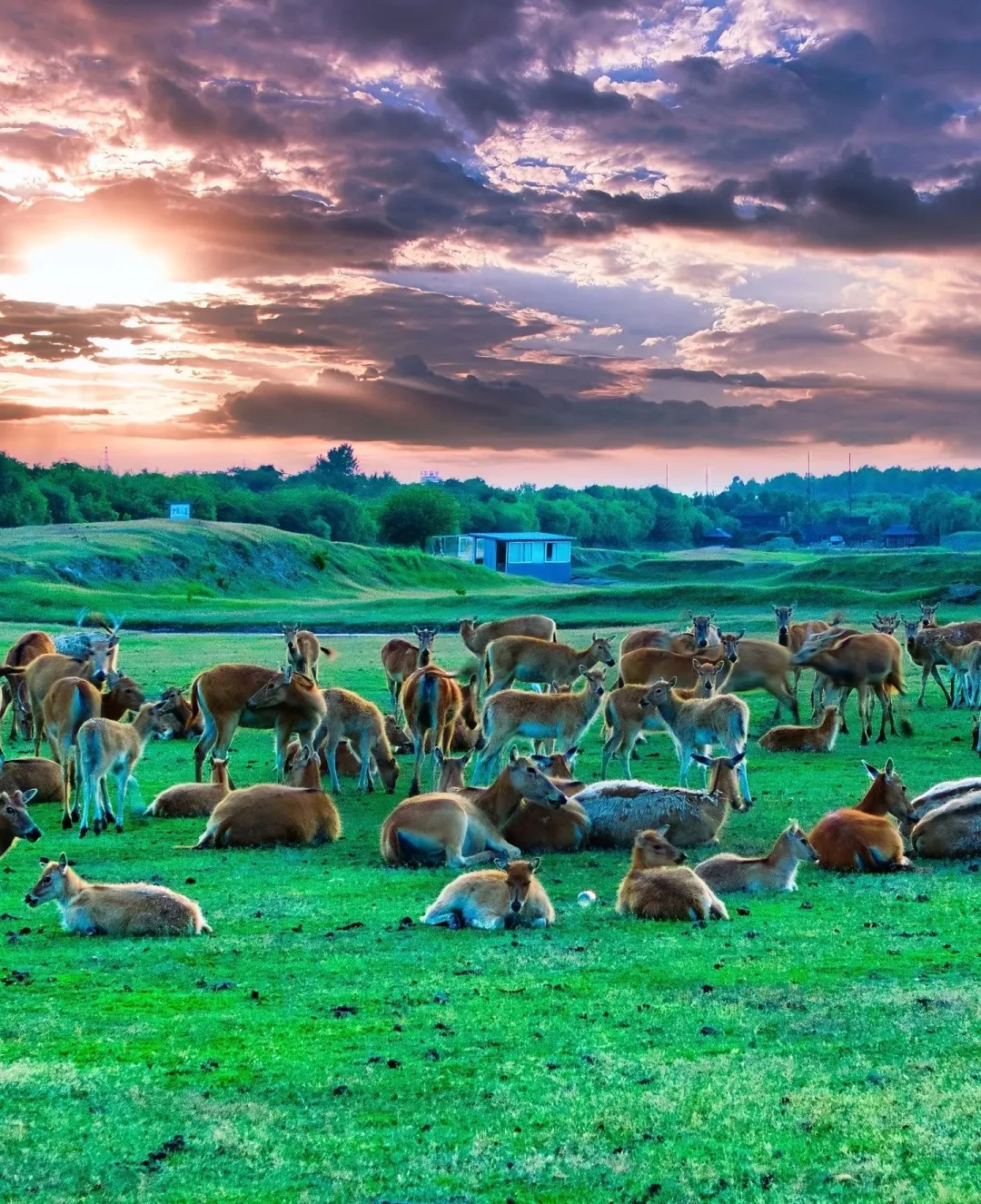 7fd2eba286267f58a5dc6b243368918c-sz_573941