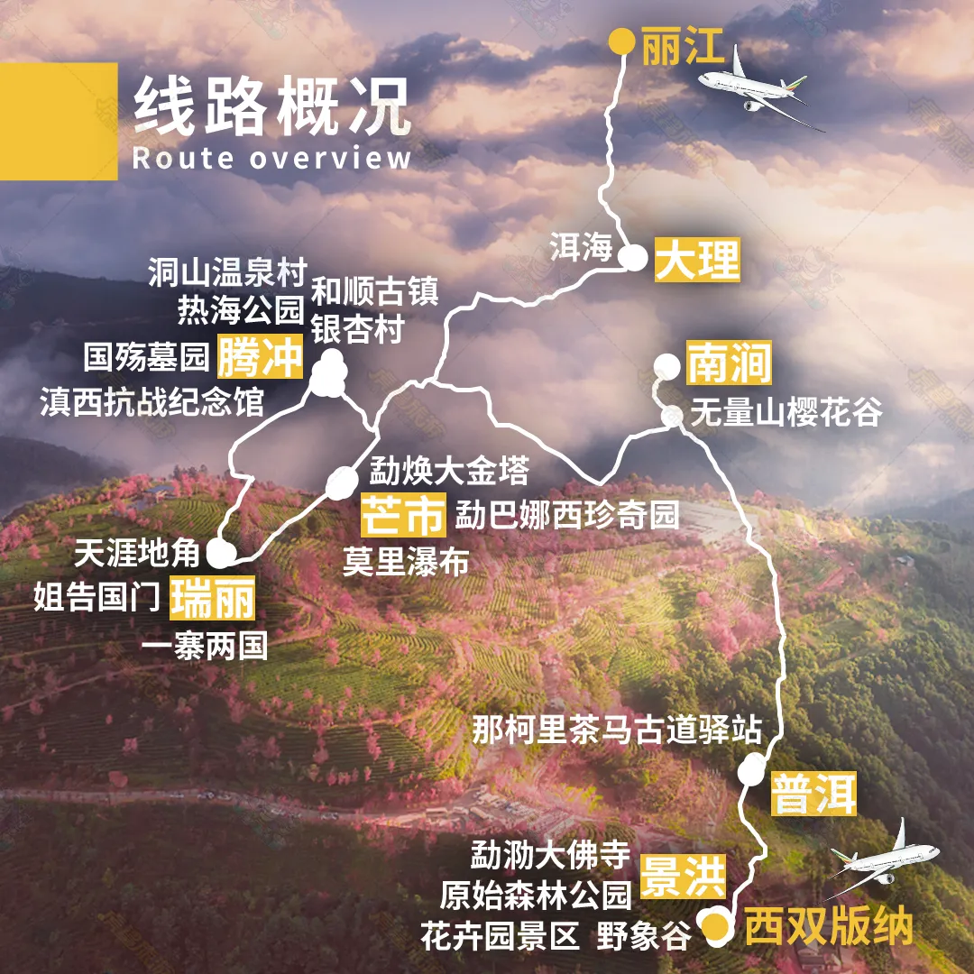 800ded9d7c790873ec629a0081a2f549-sz_2466584