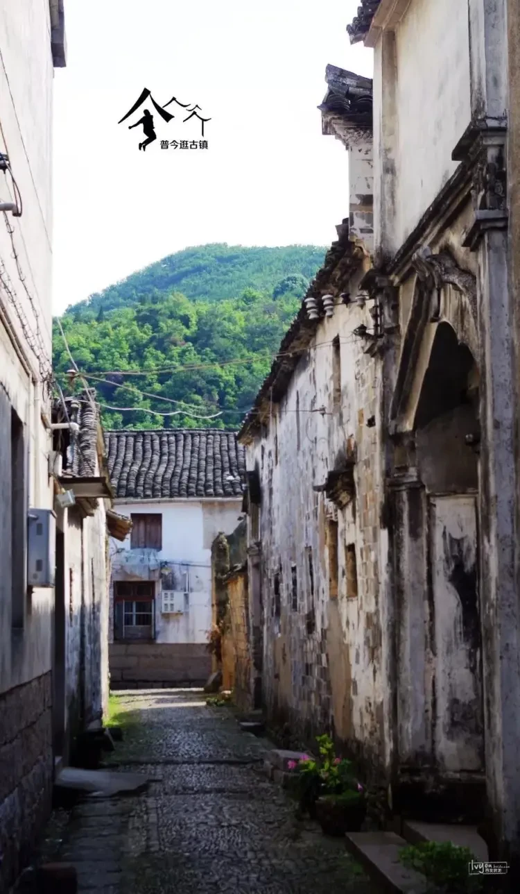 80327d335e3f15d9e93a4f0e5cd20de9-sz_199563