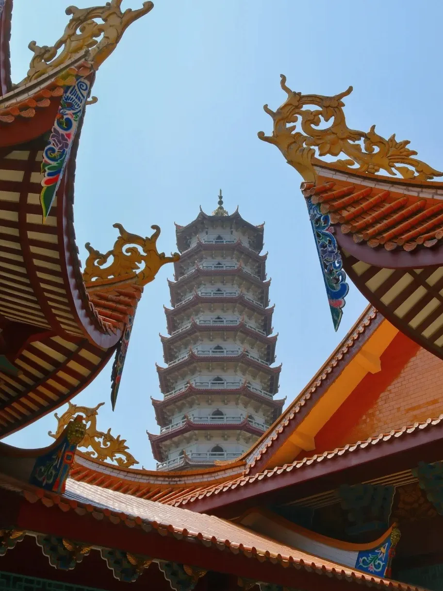 8038494d9d33ceaa2d7684ecc0459ead-sz_341028 8038494d9d33ceaa2d7684ecc0459ead-sz_341028