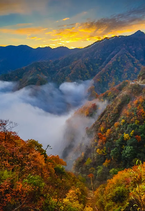 805c23934e3ceae708332e41e7a9479b-sz_678854