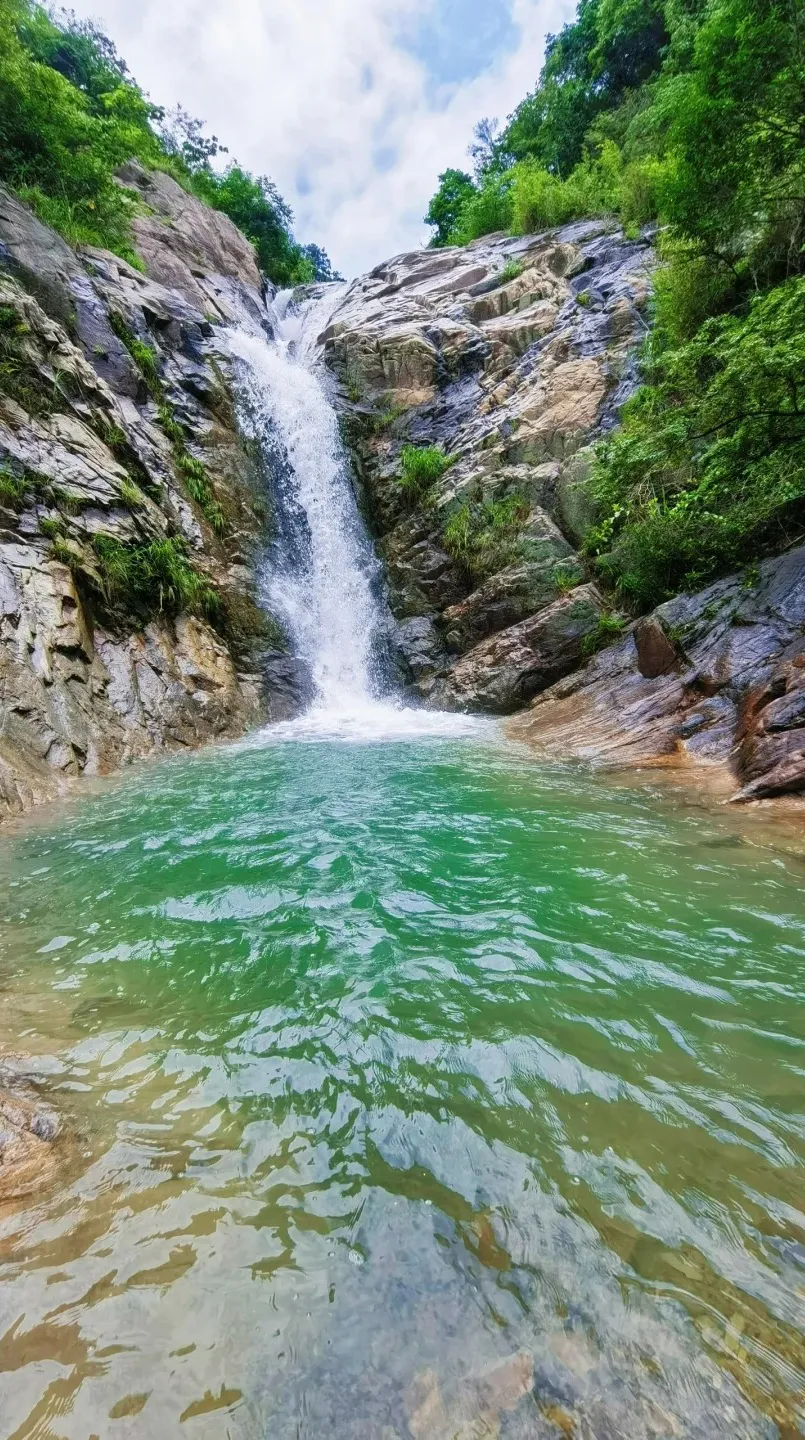 807d90bd00ec53f433246b9652dd8277-sz_1217108