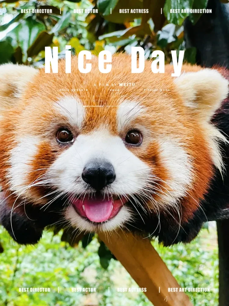 80e5ea3c1ee76f1caaf530c94e9435fc-sz_1731179 80e5ea3c1ee76f1caaf530c94e9435fc-sz_1731179