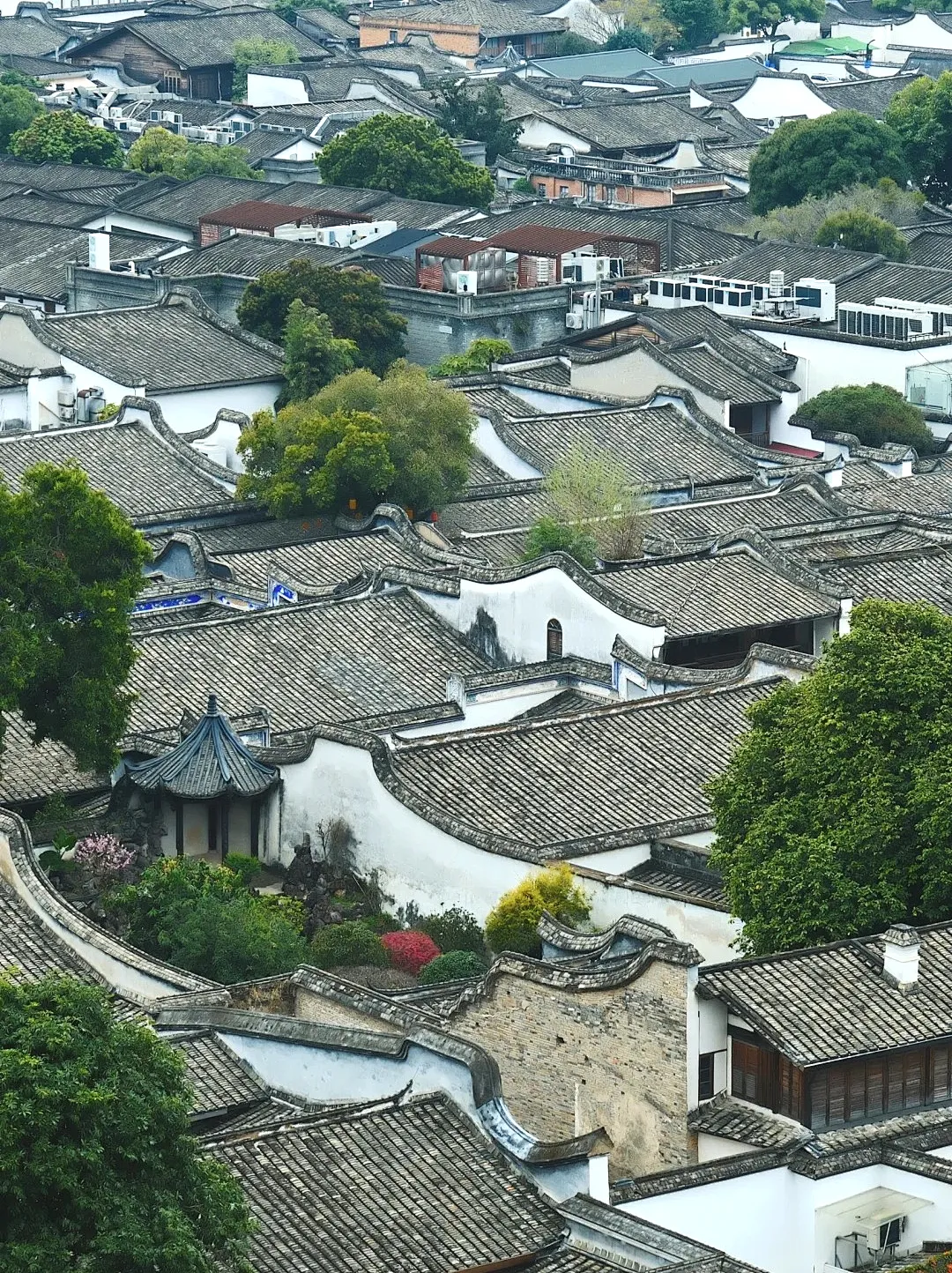 811a279078f871369deb012a25ca5b26-sz_815140 811a279078f871369deb012a25ca5b26-sz_815140