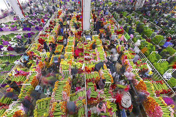 8156b6a806a26e94dc6155046f695df7-sz_619290 8156b6a806a26e94dc6155046f695df7-sz_619290