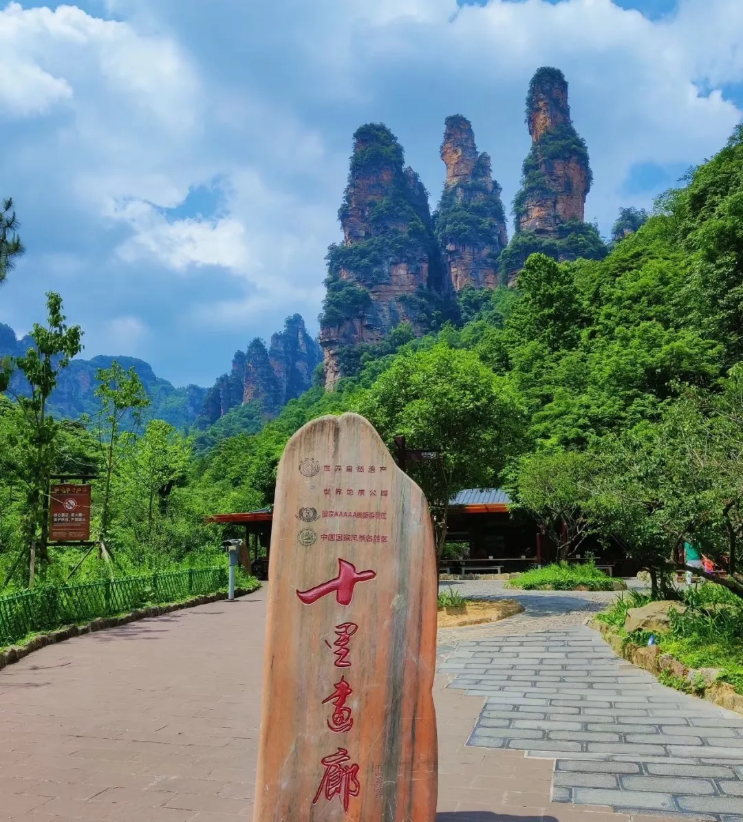 815943dfdd89ab3943611e6acce31181-sz_655495-2 815943dfdd89ab3943611e6acce31181-sz_655495-2