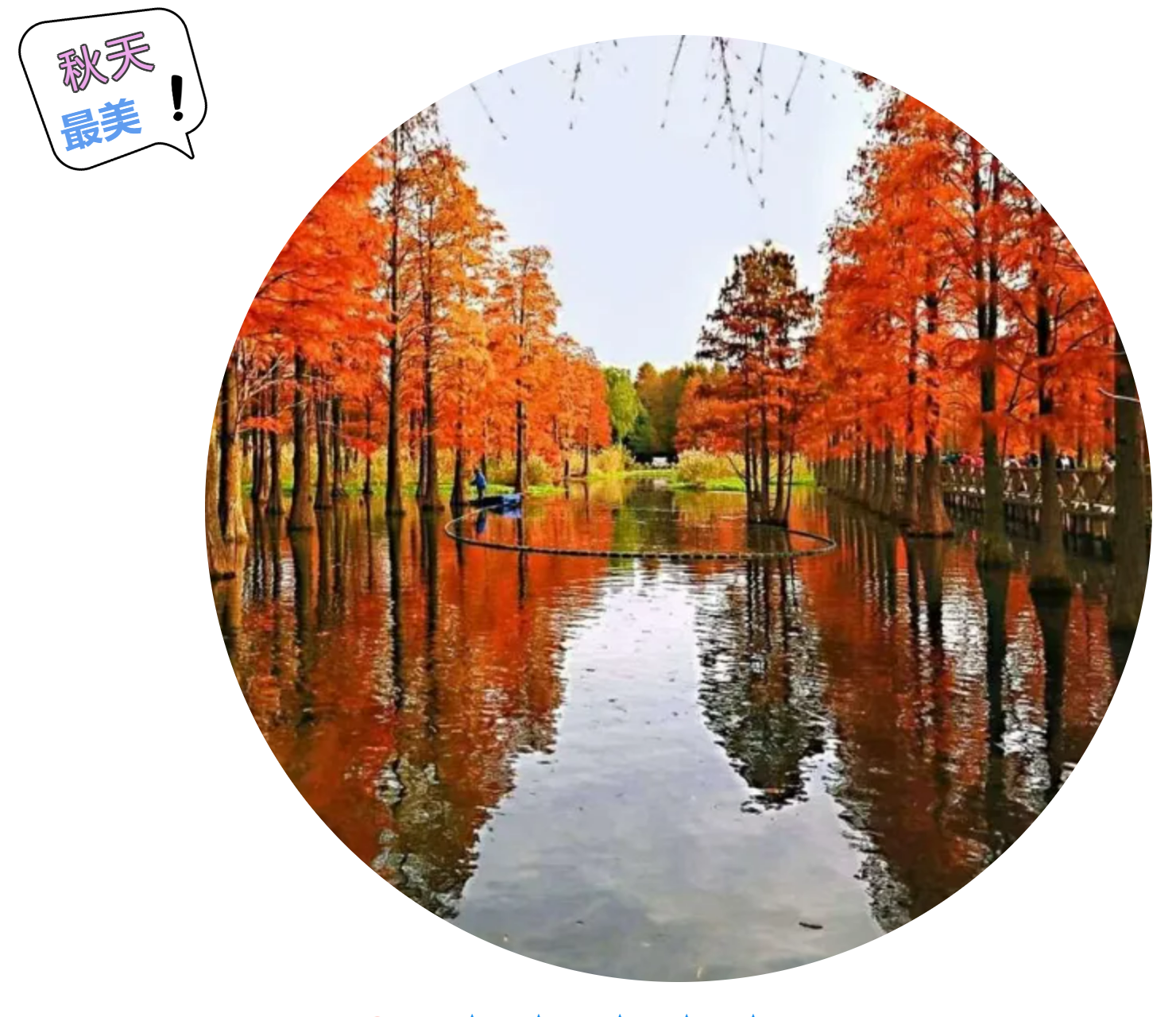 81e9f4218c93d1e8494a7ac7b7533b77 81e9f4218c93d1e8494a7ac7b7533b77