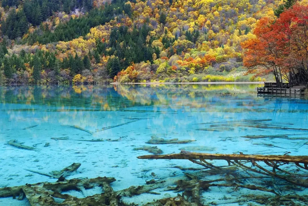 81eeb0912965fdf5b42471a0be73df41-sz_4222389