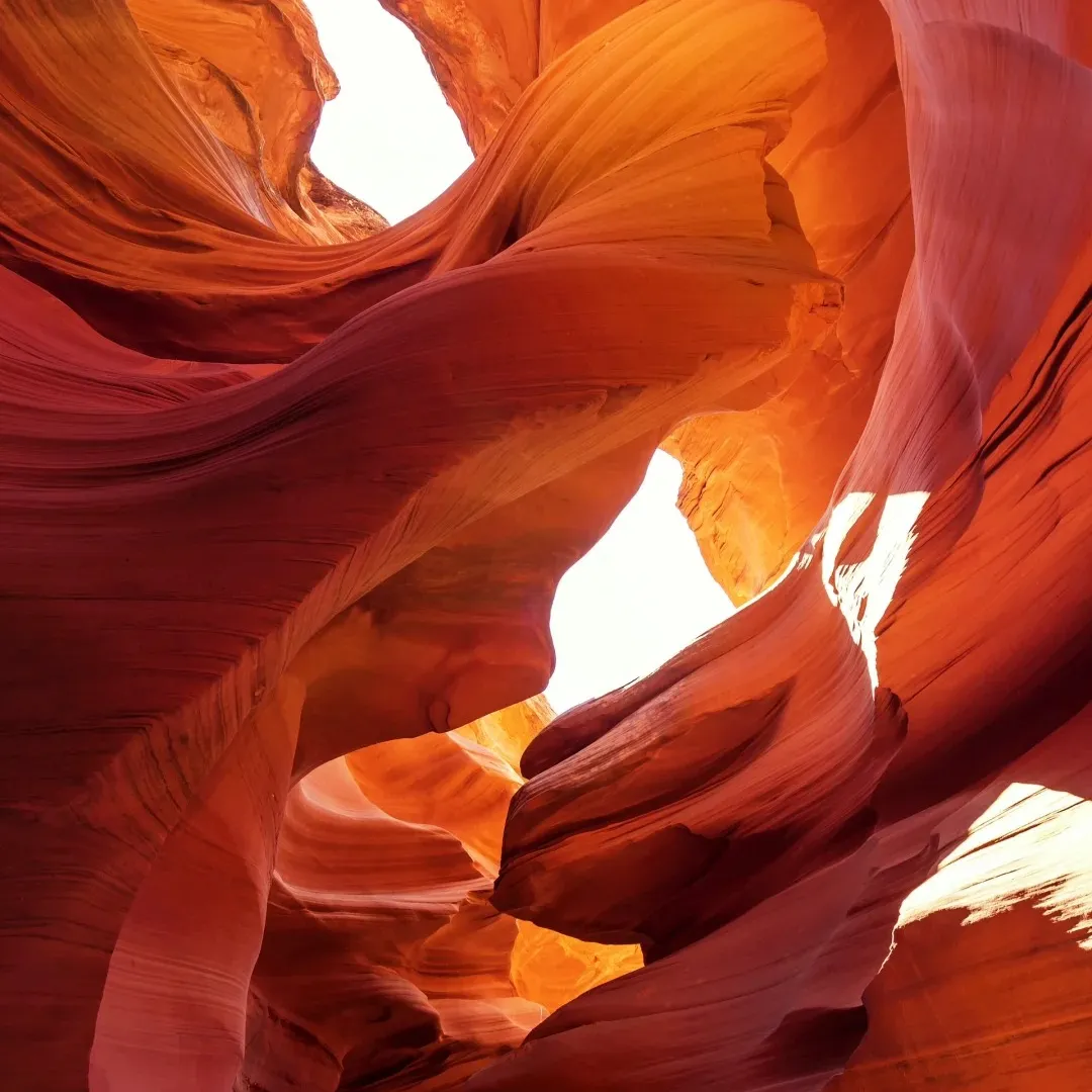 82262ef7c520b514537dd5b139806944-sz_288525 82262ef7c520b514537dd5b139806944-sz_288525