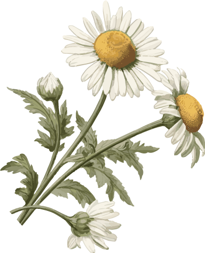 8229919eb59a86b18ec59fd557f9bc31_sz-117398-1 8229919eb59a86b18ec59fd557f9bc31_sz-117398-1