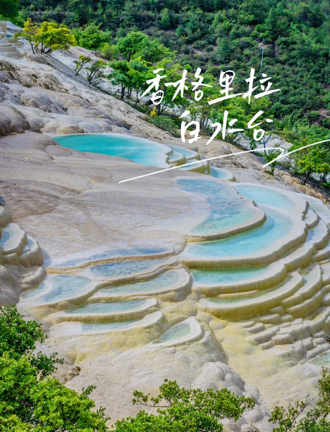 824bb9e5c26d60e2d17712835168f594-sz_4439274-1