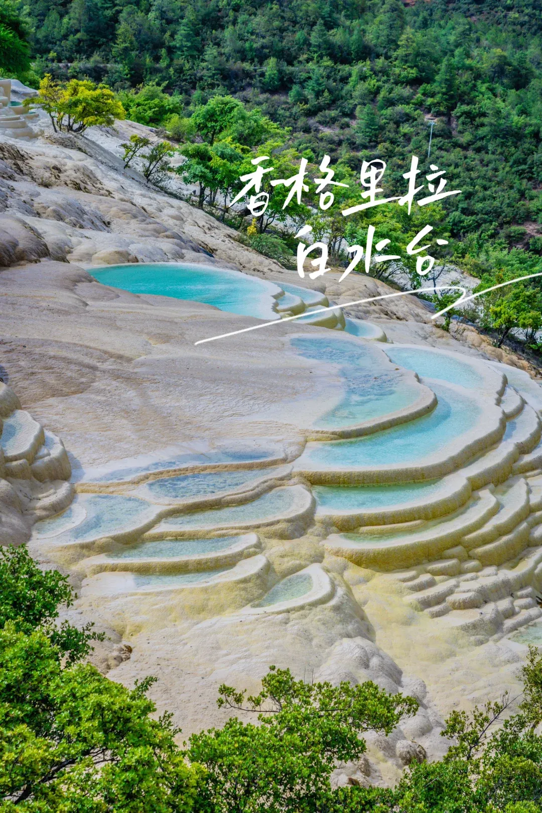 824bb9e5c26d60e2d17712835168f594-sz_4439274 824bb9e5c26d60e2d17712835168f594-sz_4439274