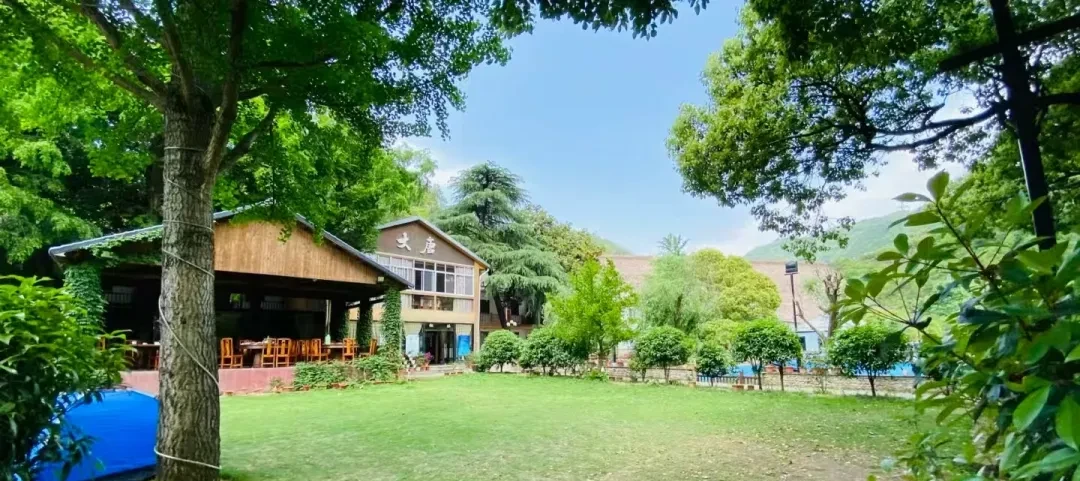 825c65f2b0228339e4a471a9894fe99c-sz_966583