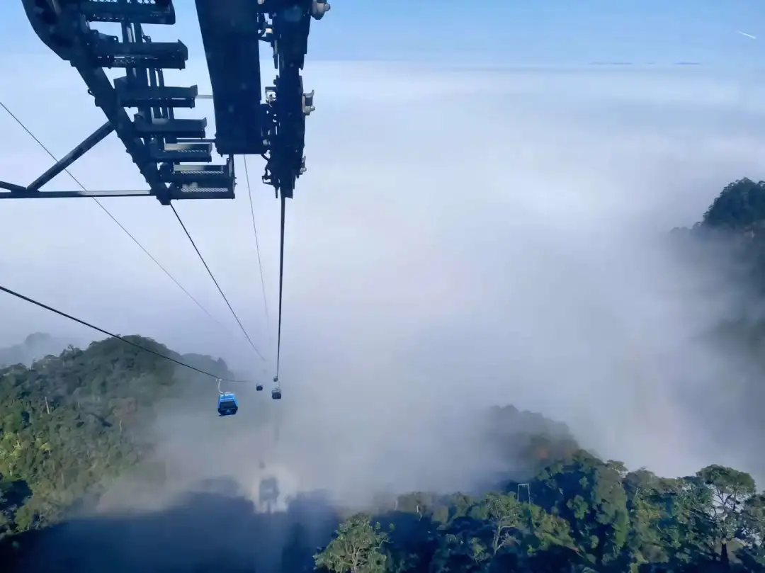 82785f0de9585eff5ae68e018b177576-sz_81087 82785f0de9585eff5ae68e018b177576-sz_81087