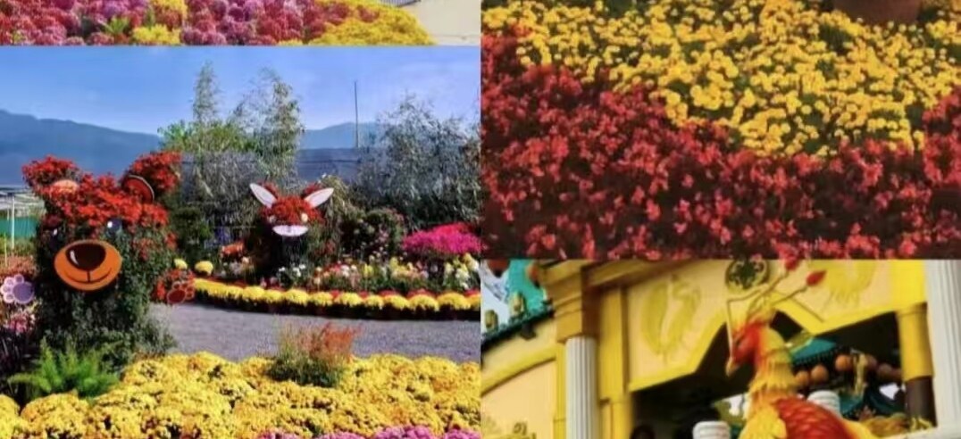 8290d096544dbb21fbbe8bd69df50aa2-sz_724693-1 8290d096544dbb21fbbe8bd69df50aa2-sz_724693-1