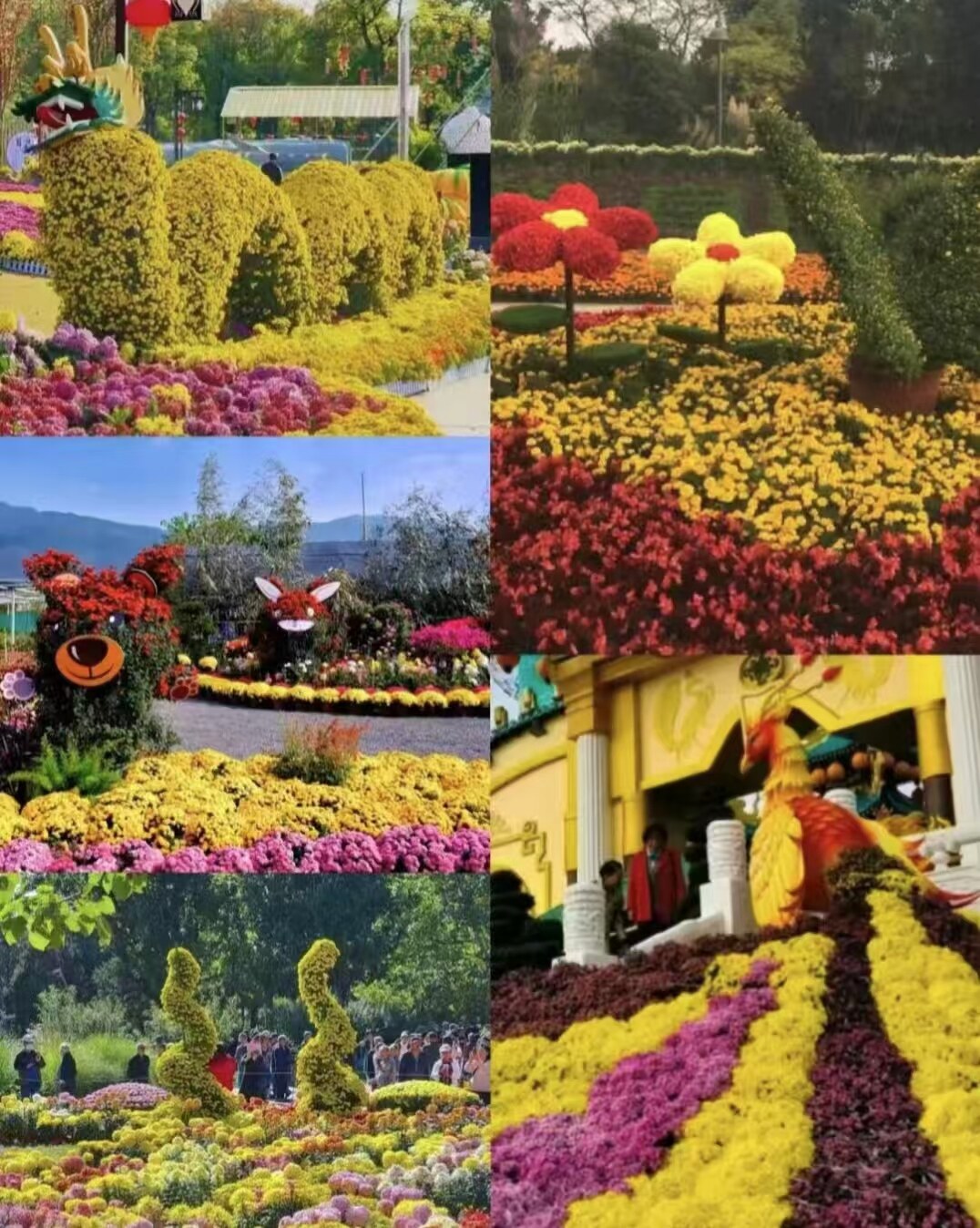 8290d096544dbb21fbbe8bd69df50aa2-sz_724693 8290d096544dbb21fbbe8bd69df50aa2-sz_724693