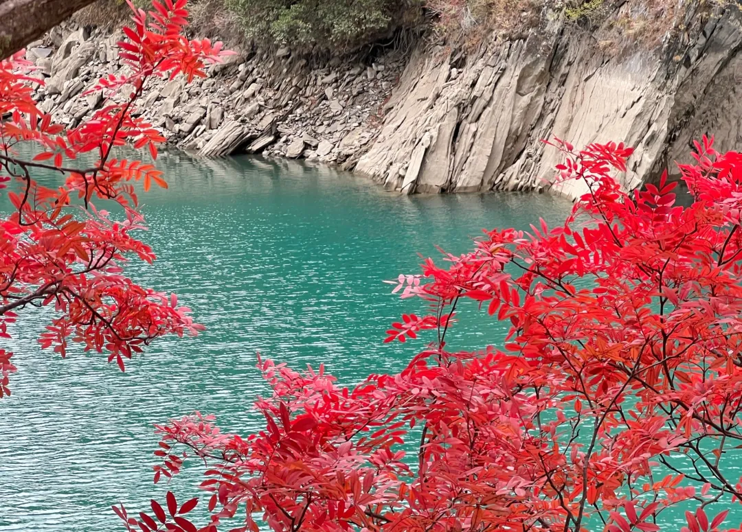 82e5864b6de25928288abd78aeb2b5fc-sz_4588657