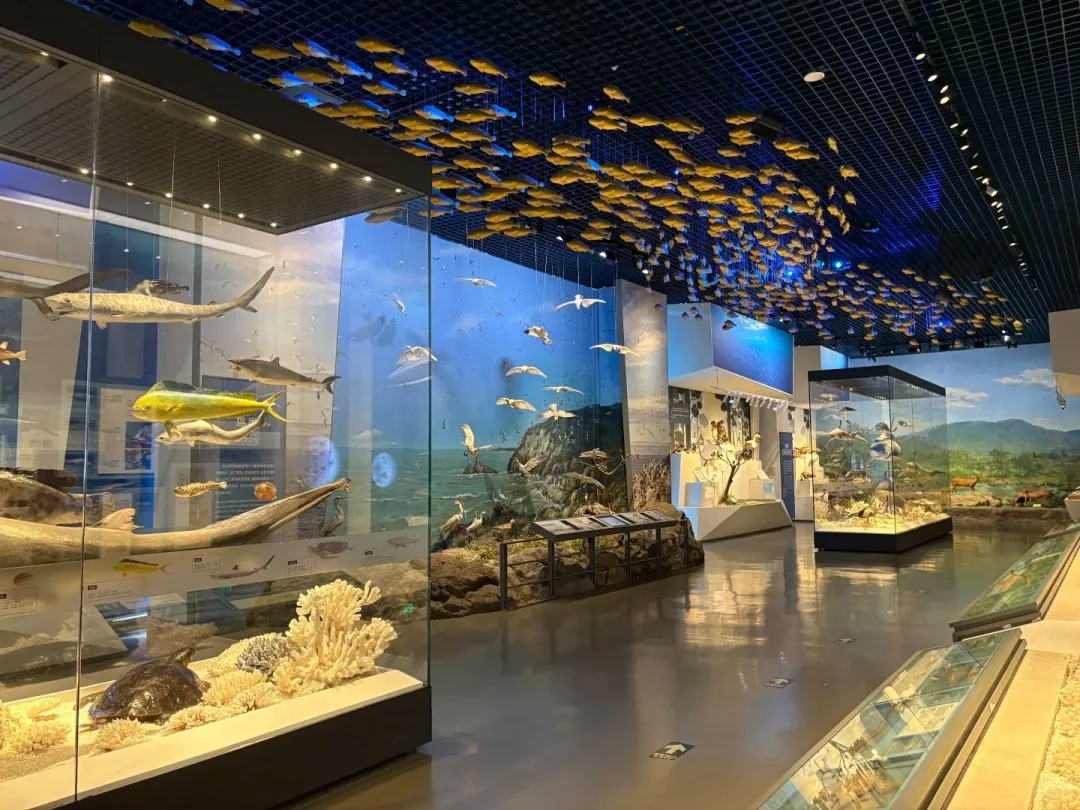 82fe9b0f008b479a93a5cbe38e39b971-sz_310158 82fe9b0f008b479a93a5cbe38e39b971-sz_310158