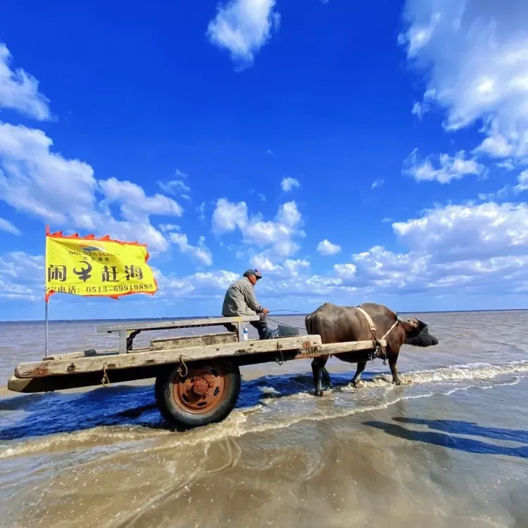 831d1fd23c764d25fdf8021fdbc7f5dd-sz_151434-1 831d1fd23c764d25fdf8021fdbc7f5dd-sz_151434-1