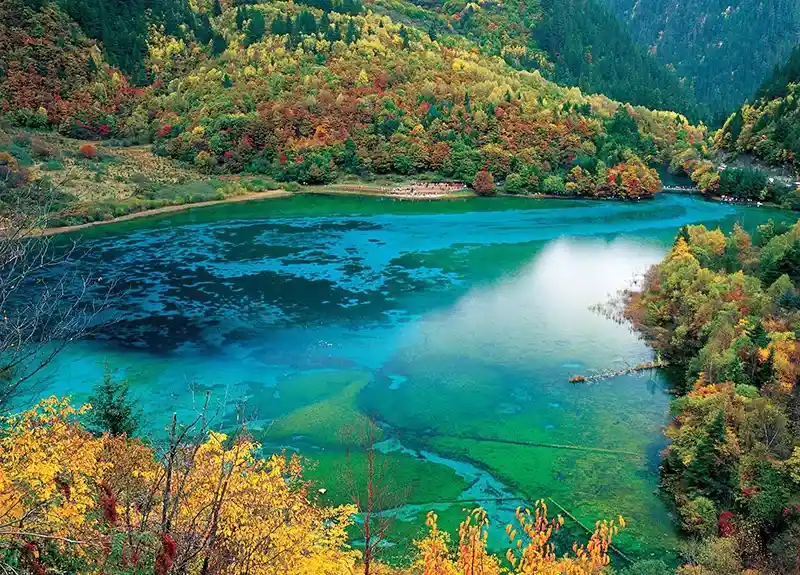 835fa0cfe1232c56162615d4936e7a0f